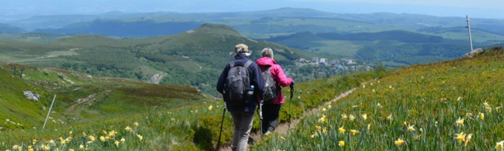 Image de bannière d’utilisateur/utilisatrice